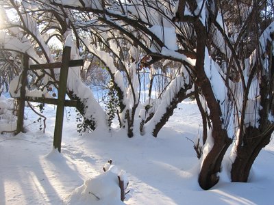 February snowstorm