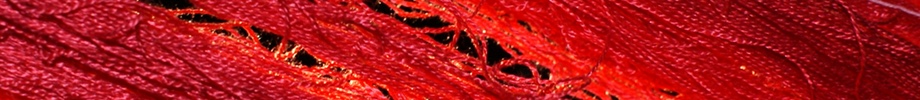 String Notes Rotating Header Image